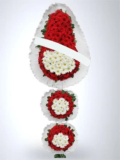 3katligerbera